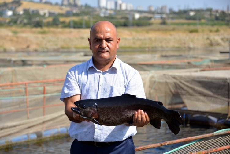 Denizi olmayan Kahramanmaraş, yılda 20 milyon dolarlık balık ihraç ediyo 5