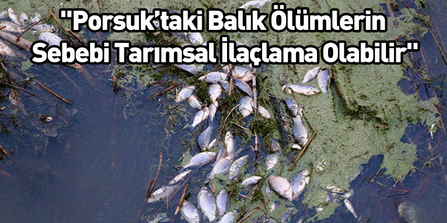 "Porsuk’taki Balık Ölümlerin Sebebi Tarımsal İlaçlama Olabilir"