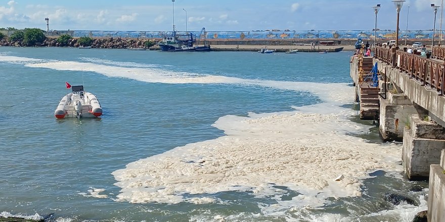 Karadeniz’deki Kirliliğin Müsilaj Değil, Alglerden Kaynaklandığı Ortaya Çıktı