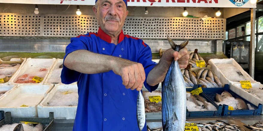 Balıkçılar Yeni Sezondan Umutlu