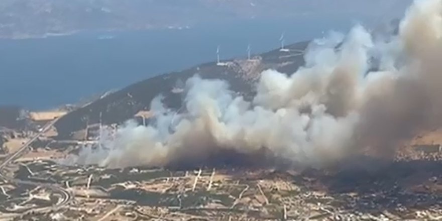 Didim'de Makilik Alanda Yangın