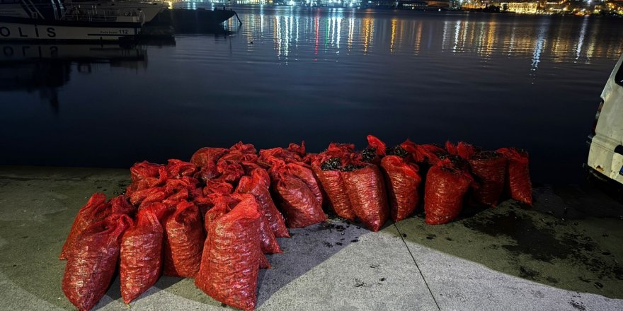 Üsküdar’da 2 Ton Kaçak Midye Ele Geçirildi