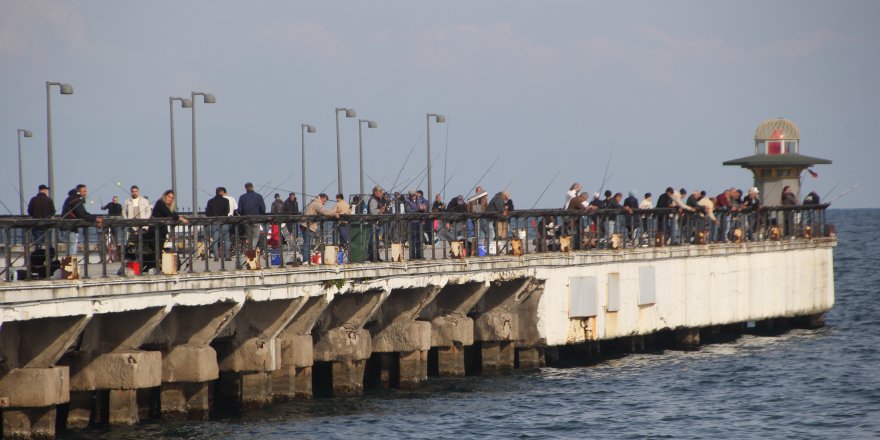 Ordu’da Amatör Balıkçılar Rıhtıma Akın Etti