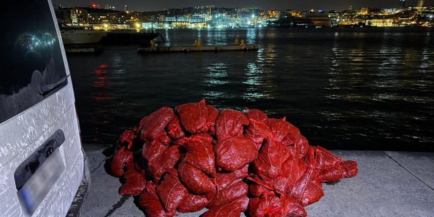 Beyoğlu'nda 3 Ton Kaçak Midye Ele Geçirildi