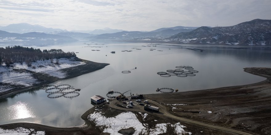 Tokat'ın Somonları Karadeniz'de Büyüyüp Dünya Sofralarına Ulaşıyor