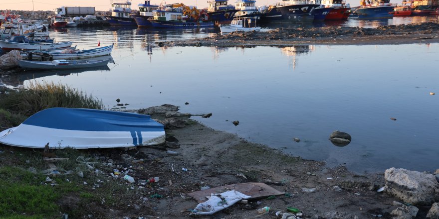 Didim Taşburun Balıkçı Barınağı Görenleri Şaşırtıyor