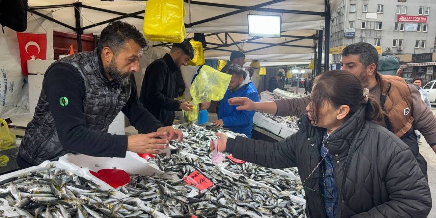 İstavritin Bolluğu Fiyatları Düşürdü