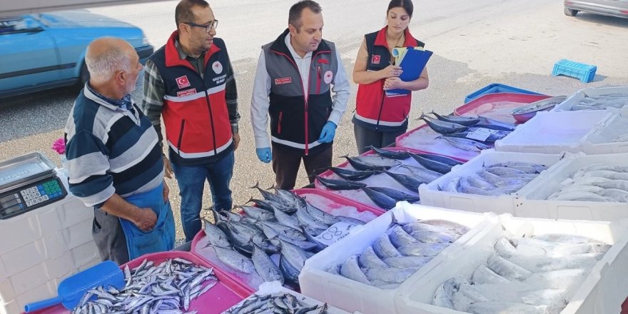 Kastamonu’da Su Ürünleri Denetimlerinde Toplam 244 Bin Lira Ceza Uygulandı