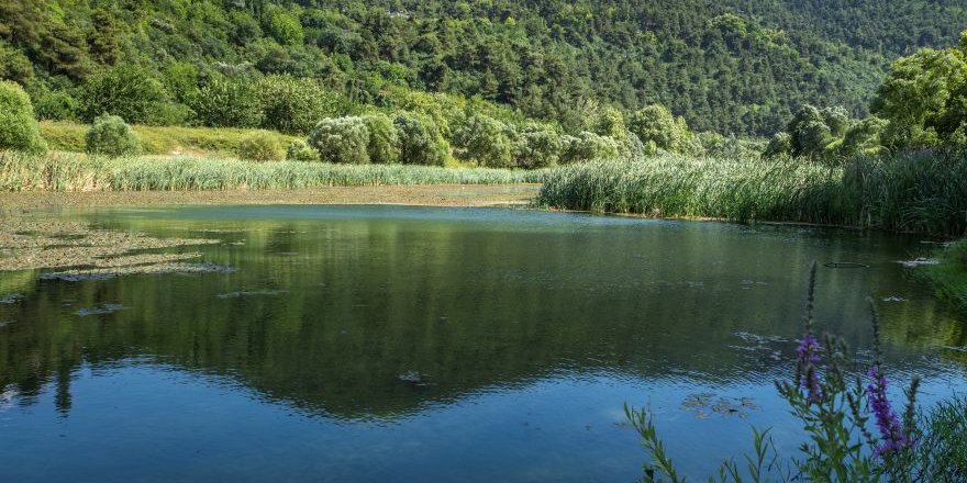 Nilüfer Çayı Marmara’ya Zehir Taşıyarak Müsilajı Tetikliyor