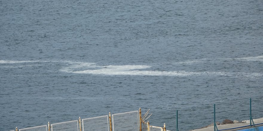 Çanakkale Boğazı'nda Müsilaj Devam Ediyor