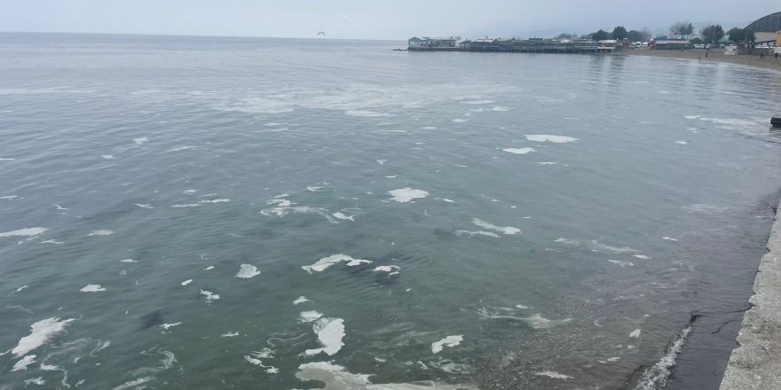 Mudanya'yı Müsilaj Sardı, Deniz Beyaz Tabakayla Örtüldü