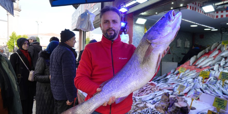 Karadeniz'de 120 Santimlik Dev Minekop Avlandı, 6 Bin TL'ye Satıldı