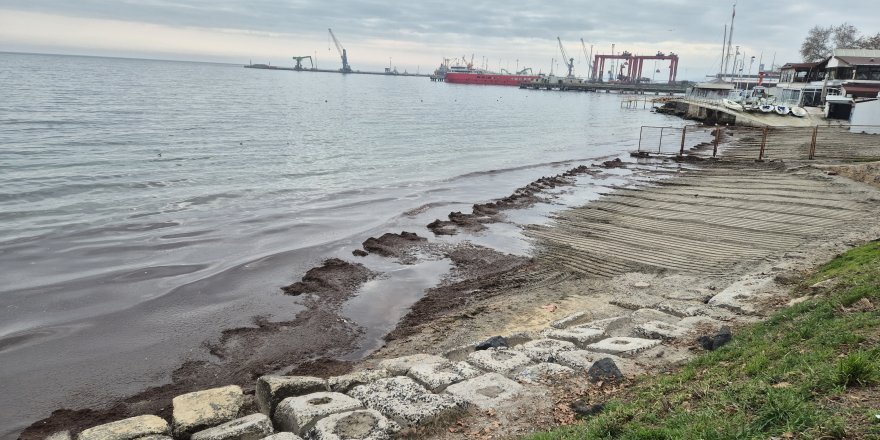 Marmara Denizi Kıyılarında Kızıl Yosunlar Birikti