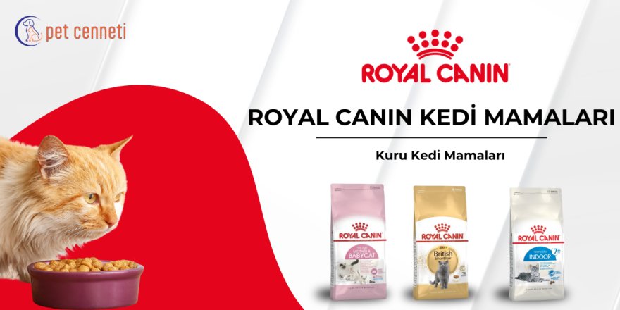 Royal Canin Kedi Maması Sağlıklı ve Dengeli Beslenmenin Anahtarı