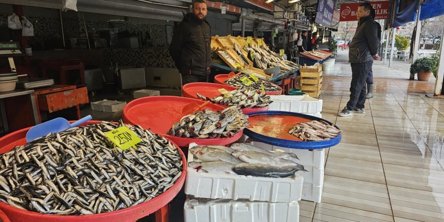 Bandırma'da Ramazan Ayında Balık Bolluğu