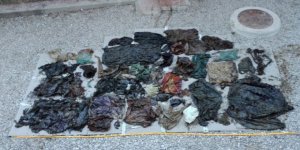 Balinanın midesinden 29 kilo plastik poşet çıktı