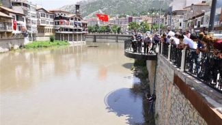 Yeşilırmak çamura döndü, balıklar ölmeye başladı