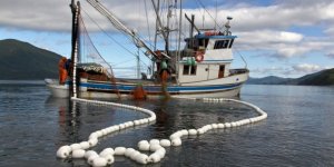 Su Ürünleri Kanunu, bölgesel balıkçılığı getiriyor
