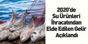 2020'de Su Ürünleri İhracatından Elde Edilen Gelir Açıklandı