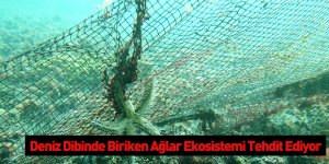 Deniz Dibinde Biriken Ağlar Ekosistemi Tehdit Ediyor