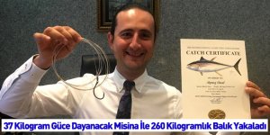 37 Kilogram Güce Dayanacak Misina İle 260 Kilogramlık Balık Yakaladı