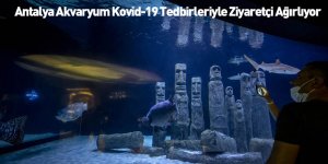 Antalya Akvaryum Kovid-19 Tedbirleriyle Ziyaretçi Ağırlıyor