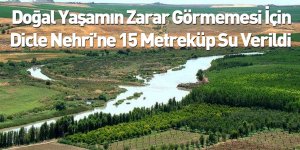 Doğal Yaşamın Zarar Görmemesi İçin Dicle Nehri'ne 15 Metreküp Su Verildi