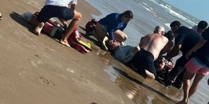 ABD’de Halk Plajında Köpek Balığı Saldırısı: 4 Yaralı