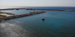 Akdeniz’in Derinliklerinde Dalgıçlar, Köpek Balığı Sürüsüyle Burun Buruna Geldi