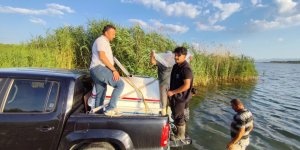 Beyşehir Gölü'ne Bırakılan Yavru Sazan Sayısı 1.5 Milyona Ulaştı
