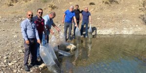 Tunceli’de Doğal Göle, 80 Bin Pullu Yavru Sazan Bırakıldı