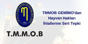 TMMOB GEMİMO'dan Hayvan Hakları İhlallerine Sert Tepki