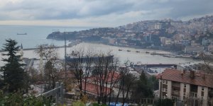 Zonguldak Limanı Sarı Renge Boyandı