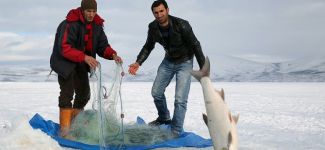 -15 derecede balık avı