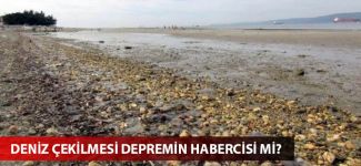 Deniz çekilmesi depremin habercisi mi?