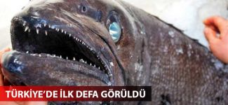 Türkiye'de ilk defa görüldü