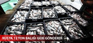 Rusya 12 ton balığı geri gönderdi