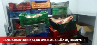 Jandarma'dan kaçak avcılara göz açtırmıyor