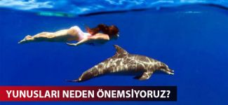 Yunusları neden önemsiyoruz?