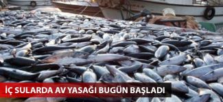 İç sularda av yasağı bugün başladı