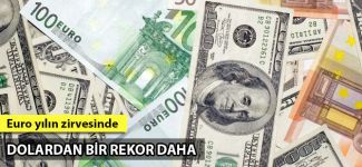 Dolardan rekor, Euro yılın zirvesinde