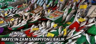 Mayıs'ın zam şampiyonu balık