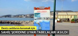 Kuşadası'nda deniz canlılarını korumak için kıyı şeridine uyarı tabelaları asıldı