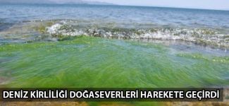 Deniz kirliliği doğaseverleri harekete geçirdi