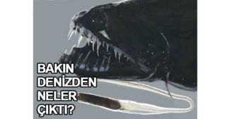 Bakın denizden neler çıkıyor