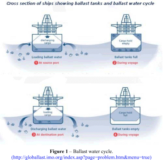 ballast-1-ic-sayfa.gif