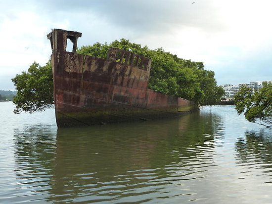 work.6807430.1.flat,550x550,075,f.homebush-bay-wreck-ss-ayrfield.jpg